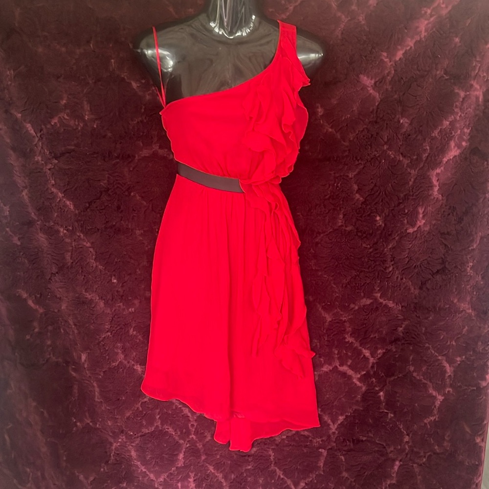 Smart set one shoulder ruffle dress size 4
